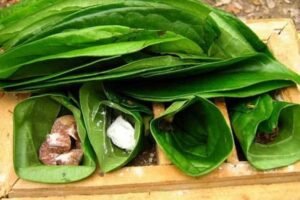 Budaya Kuliner Nusantara: Lebih dari Sekadar Cita Rasa, Sebuah Identitas Bangsa