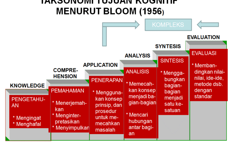 Curling: Permainan Es yang Mengasah Otak dan Meningkatkan Kognisi