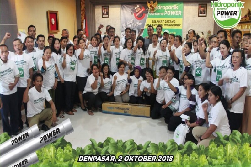 Hidroponik: Solusi Hijau untuk Masa Depan Pertanian yang Berkelanjutan