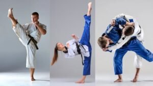 Karate vs. Taekwondo: Pertarungan Dua Raksasa Seni Bela Diri