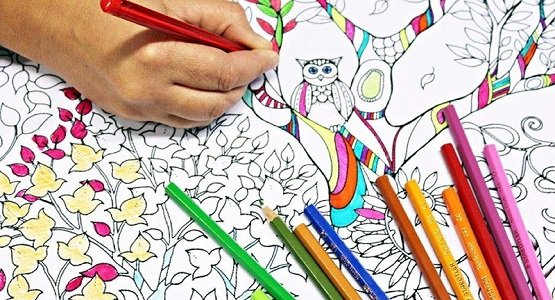Menumbuhkan Cinta Olahraga Sejak Dini: Panduan Mengajak Anak Aktif Bergerak