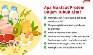 Tentu, mari kita bahas manfaat protein shake untuk otot dalam artikel yang informatif dan mudah dipahami.