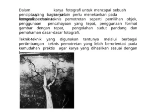 Dasar-Dasar Fotografi untuk Pemula: Membuka Jendela Kreativitas Visual