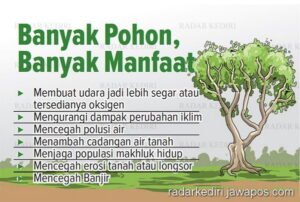 Manfaat Pohon bagi Kehidupan Manusia: Lebih dari Sekadar Oksigen