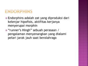 Mengungkap Kebahagiaan Setelah Berkeringat: Peran Endorfin dalam Olahraga